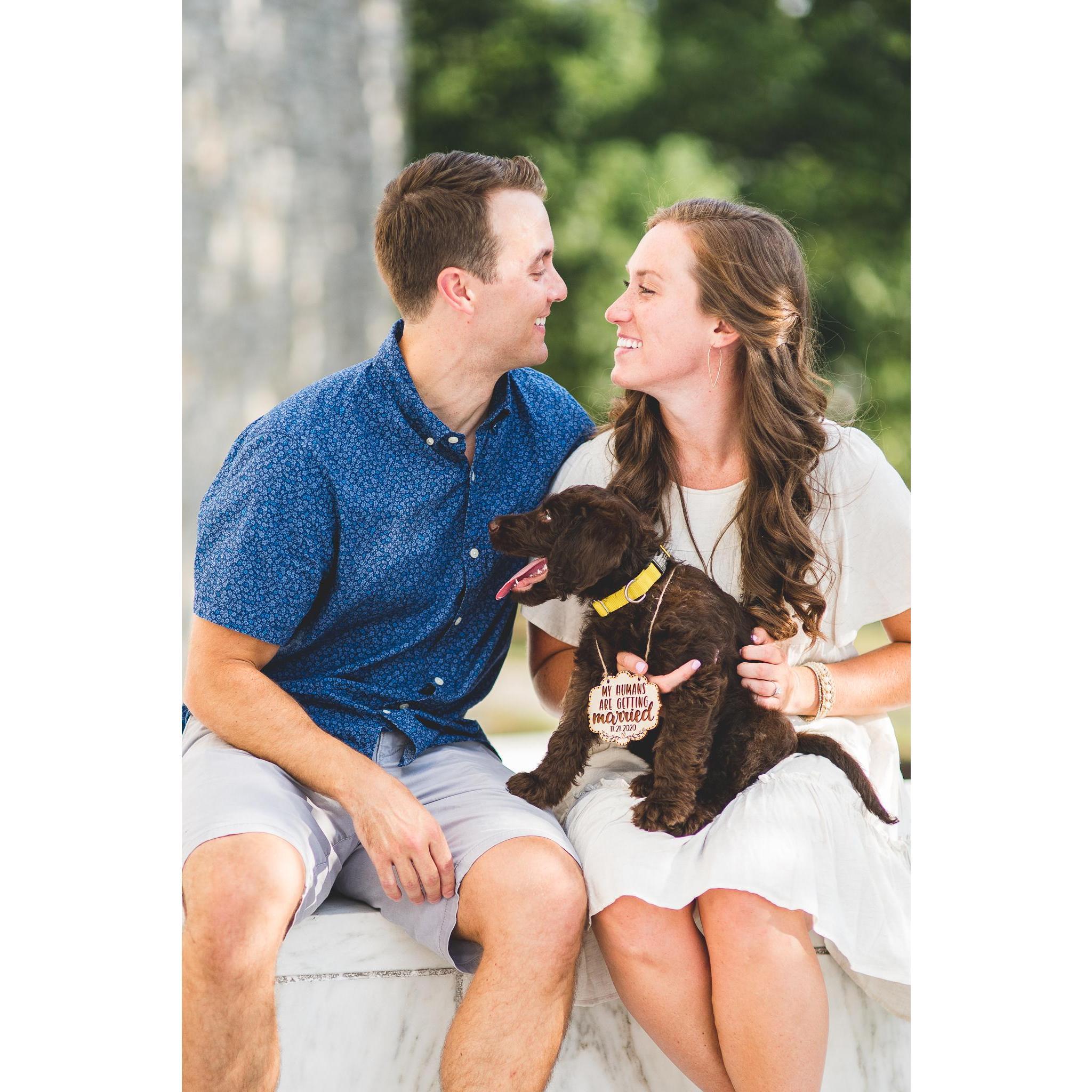 Engagement photos by the incredible Kealy Creative!