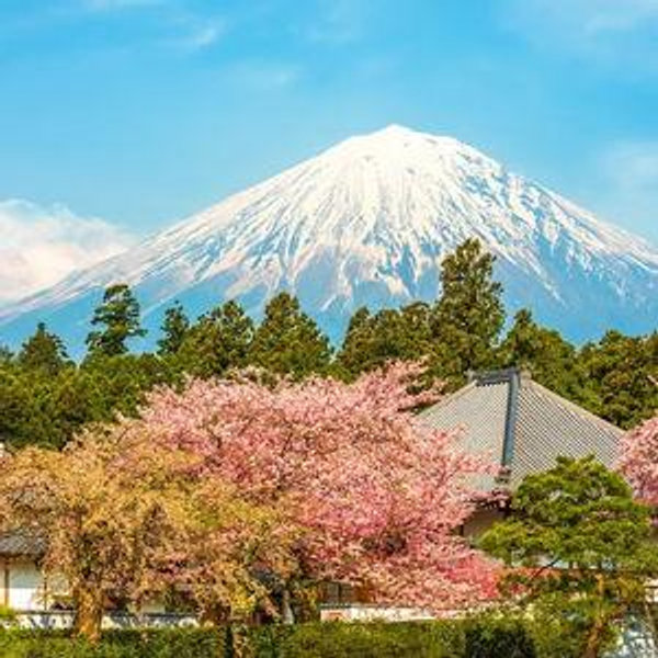 Mt. Fuji & Hakone Tour