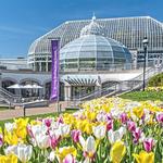 Phipps Conservatory and Botanical Gardens