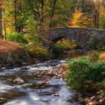 Rockefeller State Park Preserve