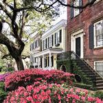 Stroll Down Jones Street