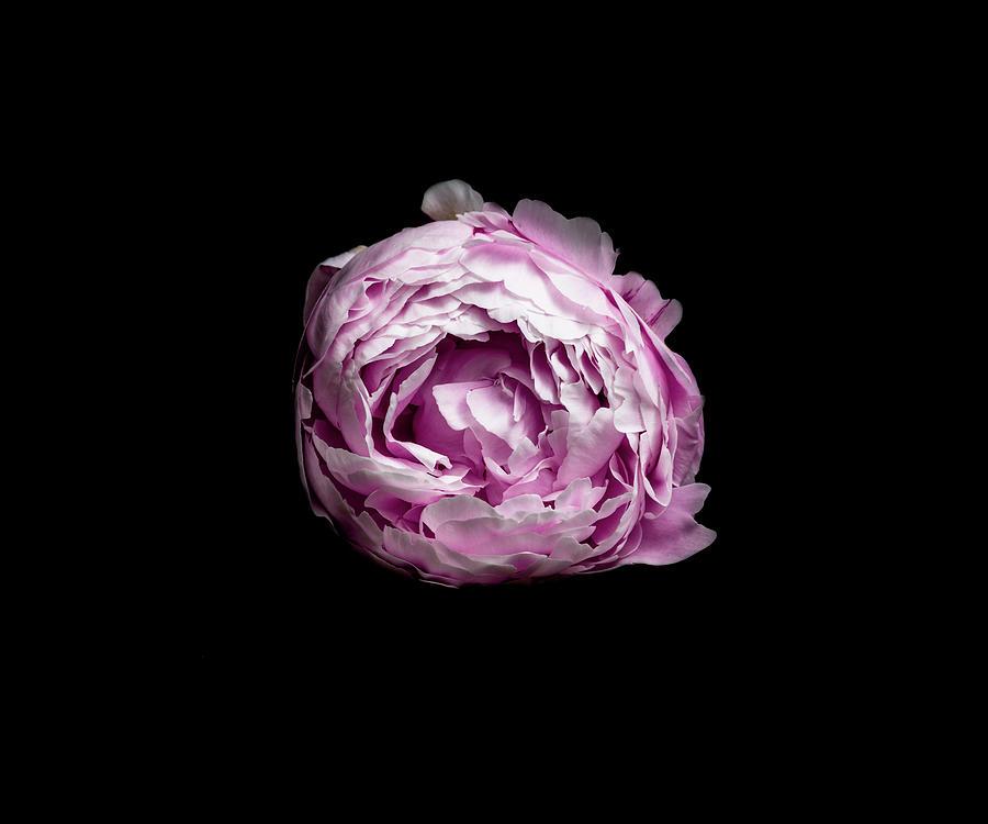 a01bb855-8101-4b77-9a01-f71c484a290f