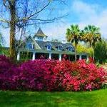 Magnolia Plantation and Gardens