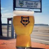 Beach Cat Brewing