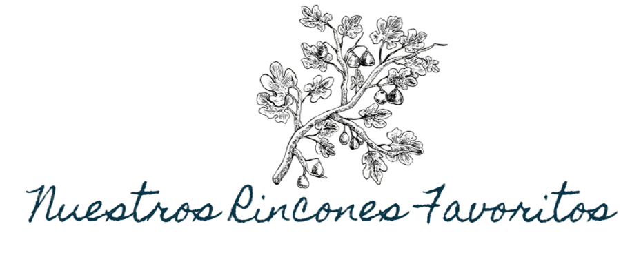 The Wedding Website of Carolina Sanchez and Alfredo Ventura