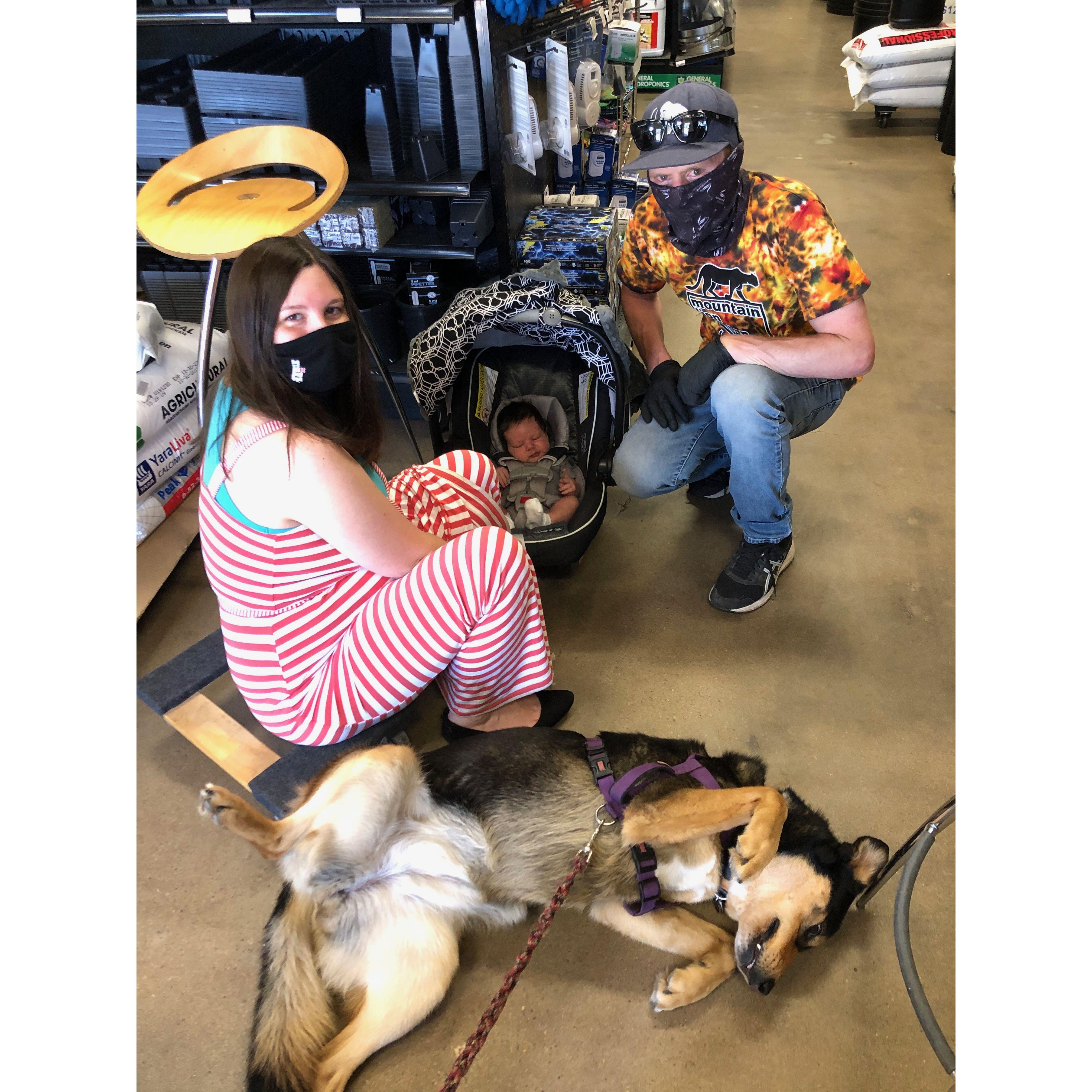 Here we are at AJ's shop (Mountain Lion Garden Supply in LaPorte, CO), with a newborn Raffaele!