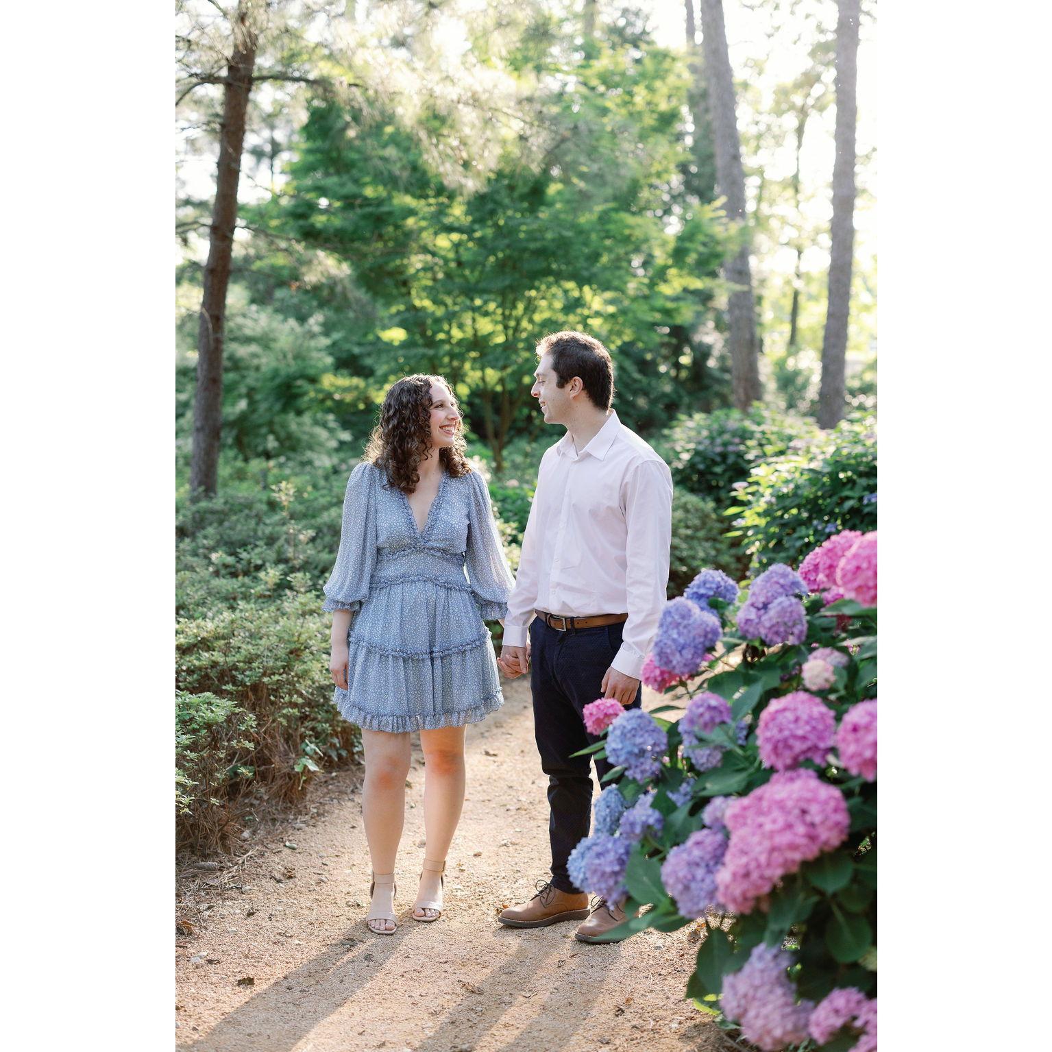 the hydrangeas held on until the end of the bloom season!