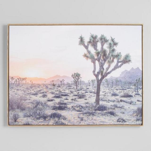 Joshua Tree By Dean Mayo Canvas Wall Art