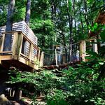 NC Museum of Life and Science
