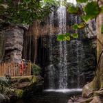 Omaha's Henry Doorly Zoo and Aquarium