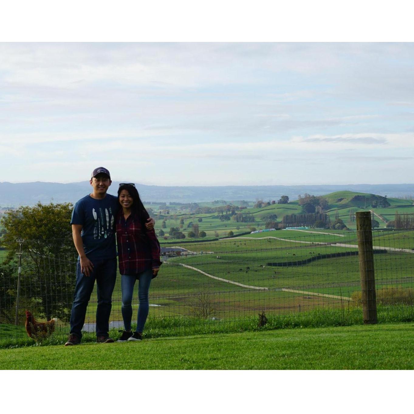 In New Zealand.