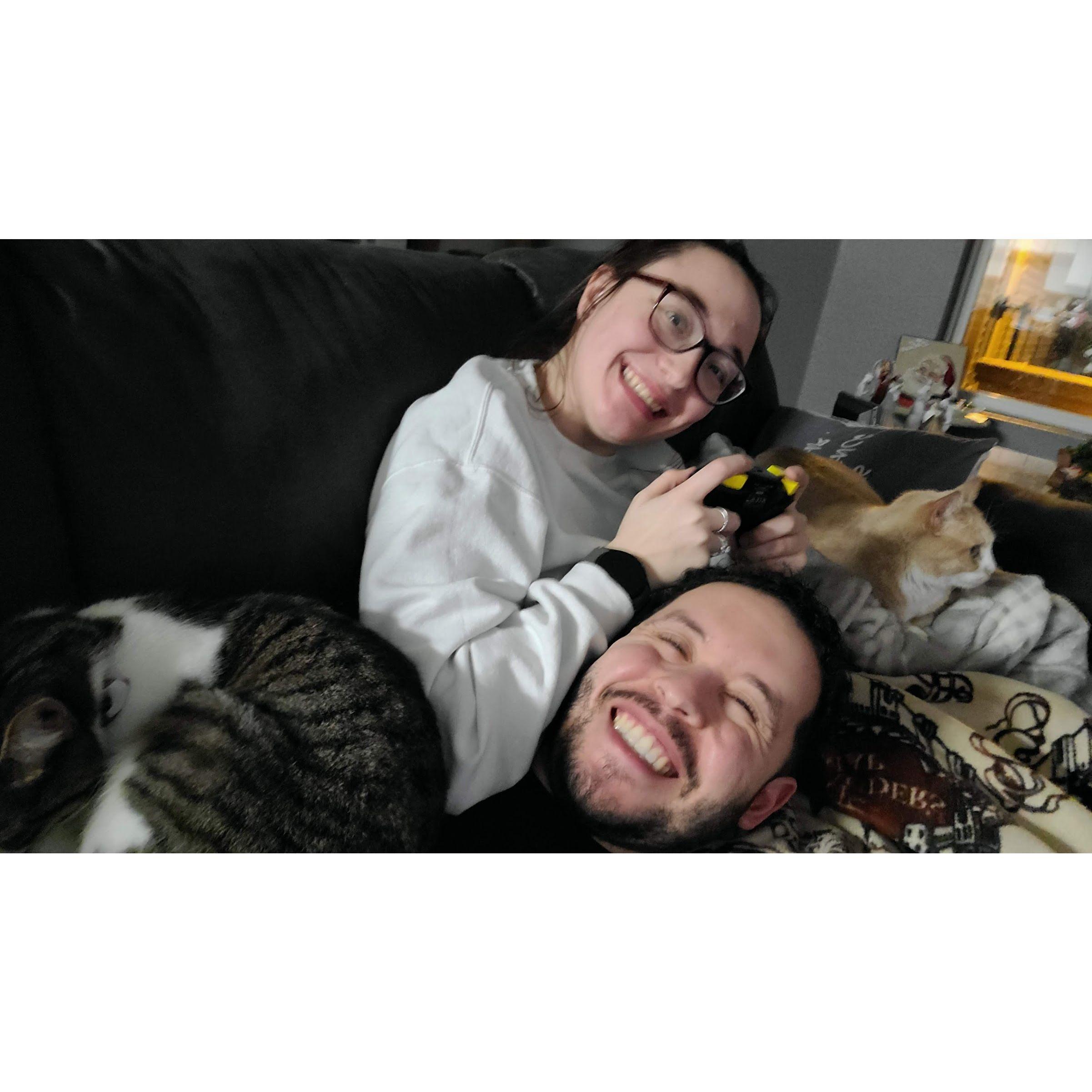 The cats enjoy making their presence known on our couch