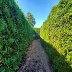 The Garden Maze at Luray Caverns