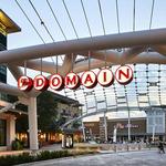 The Domain