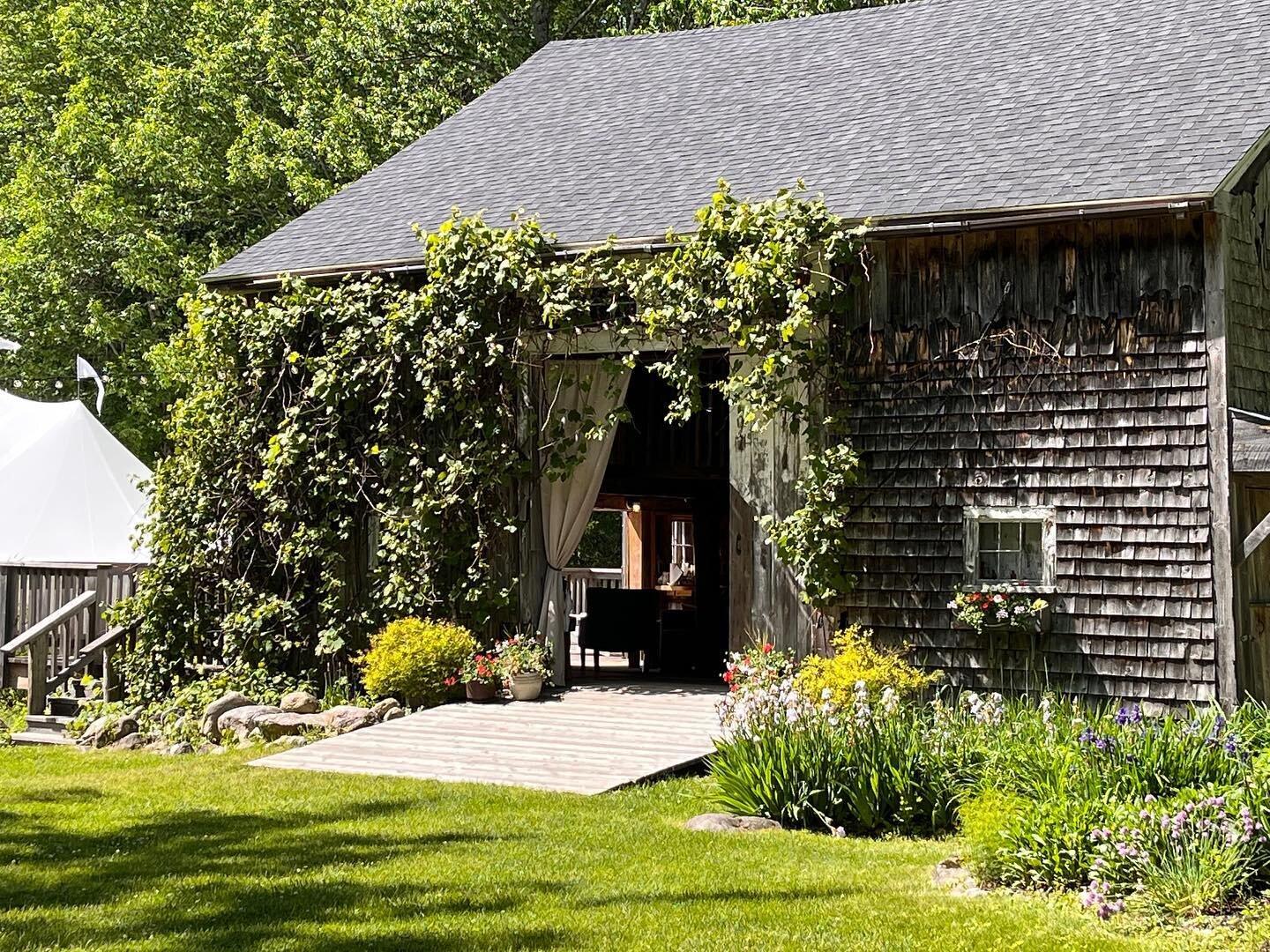 The Wedding Website of Eleanor Dow and Steven Baglione
