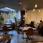 Lunch and Dinner: Antidote