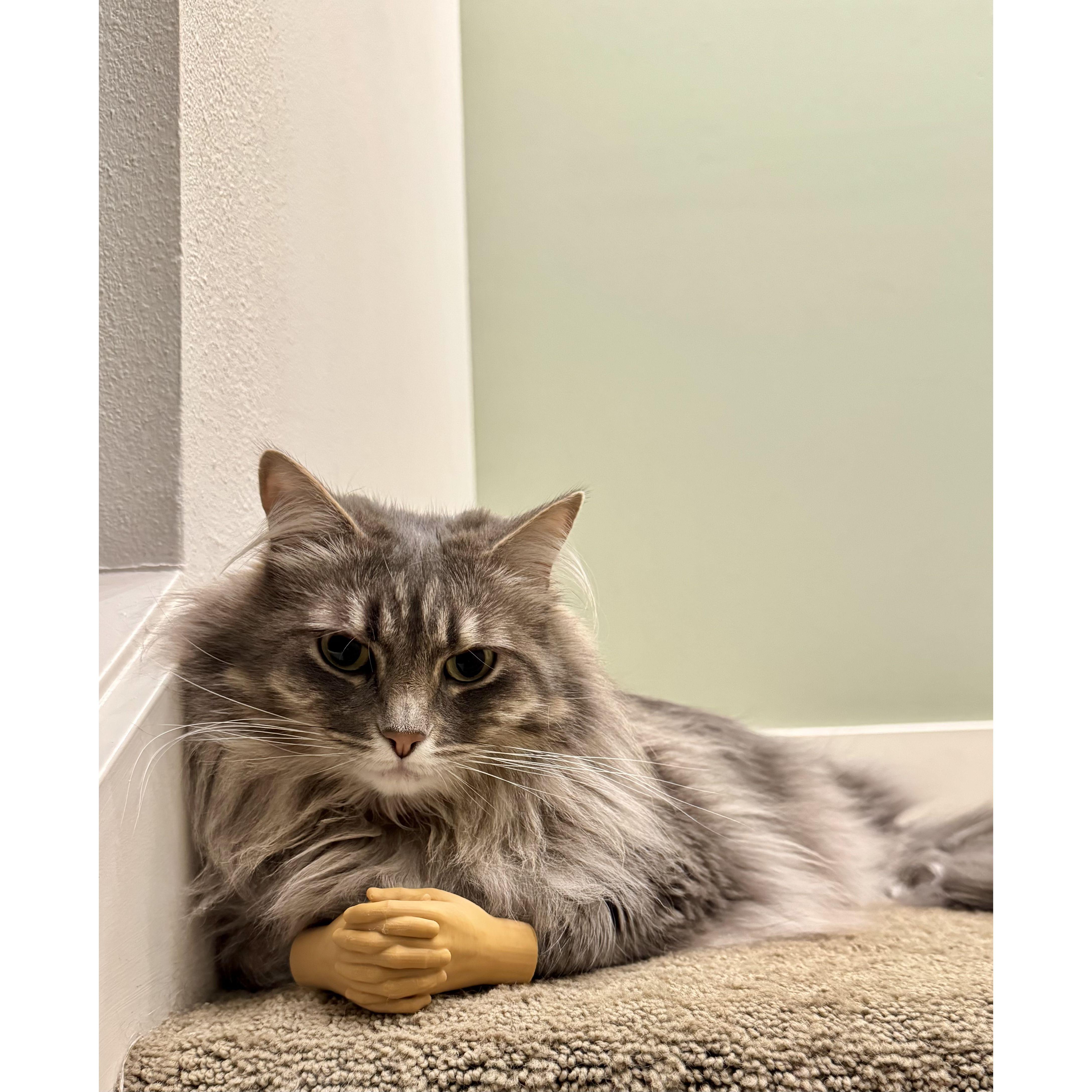 Princess Puff "The sweet one"