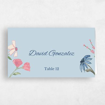 Baby Blue Wedding Place Card - Mireille