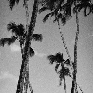 Honeymoon Excursions