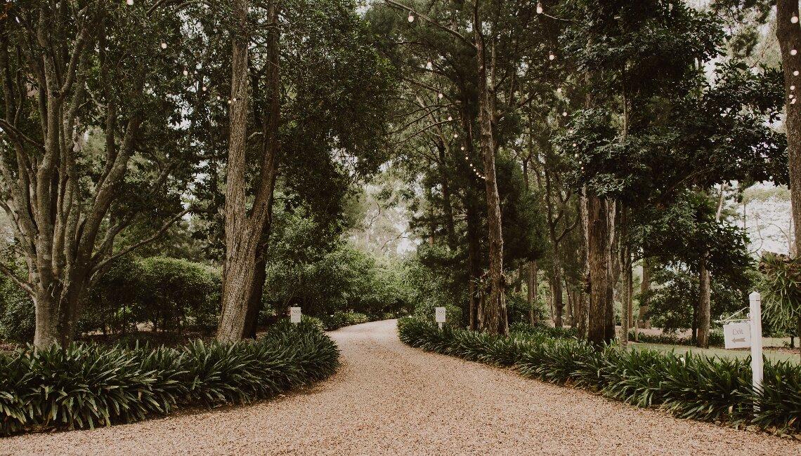 The Wedding Website of Lachlan Whitelaw and Sarah Williams