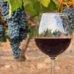 Ontario Vineyards & Wine Country
