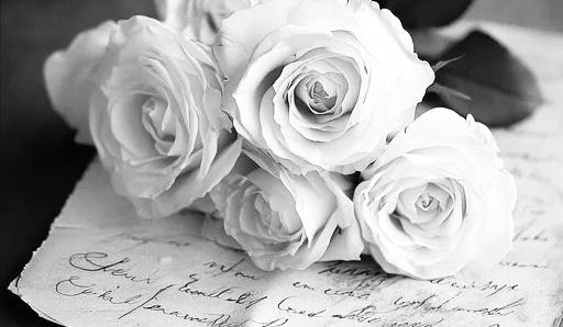 The Wedding Website of Lauren Norman and Kevin Boylan