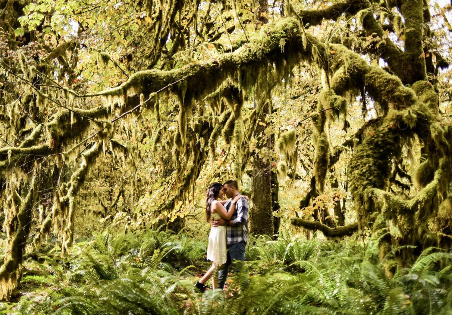 The Wedding Website of Miguel Alvarez and Taylor Moffett