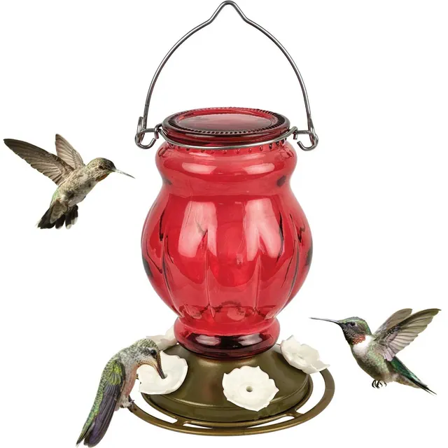 Nature's Way Bird Products Ruby Visions Antique Glass Hummingbird Feeder 25oz