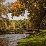 Owatonna