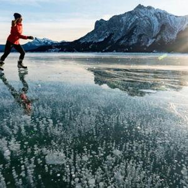 Banff Experiences