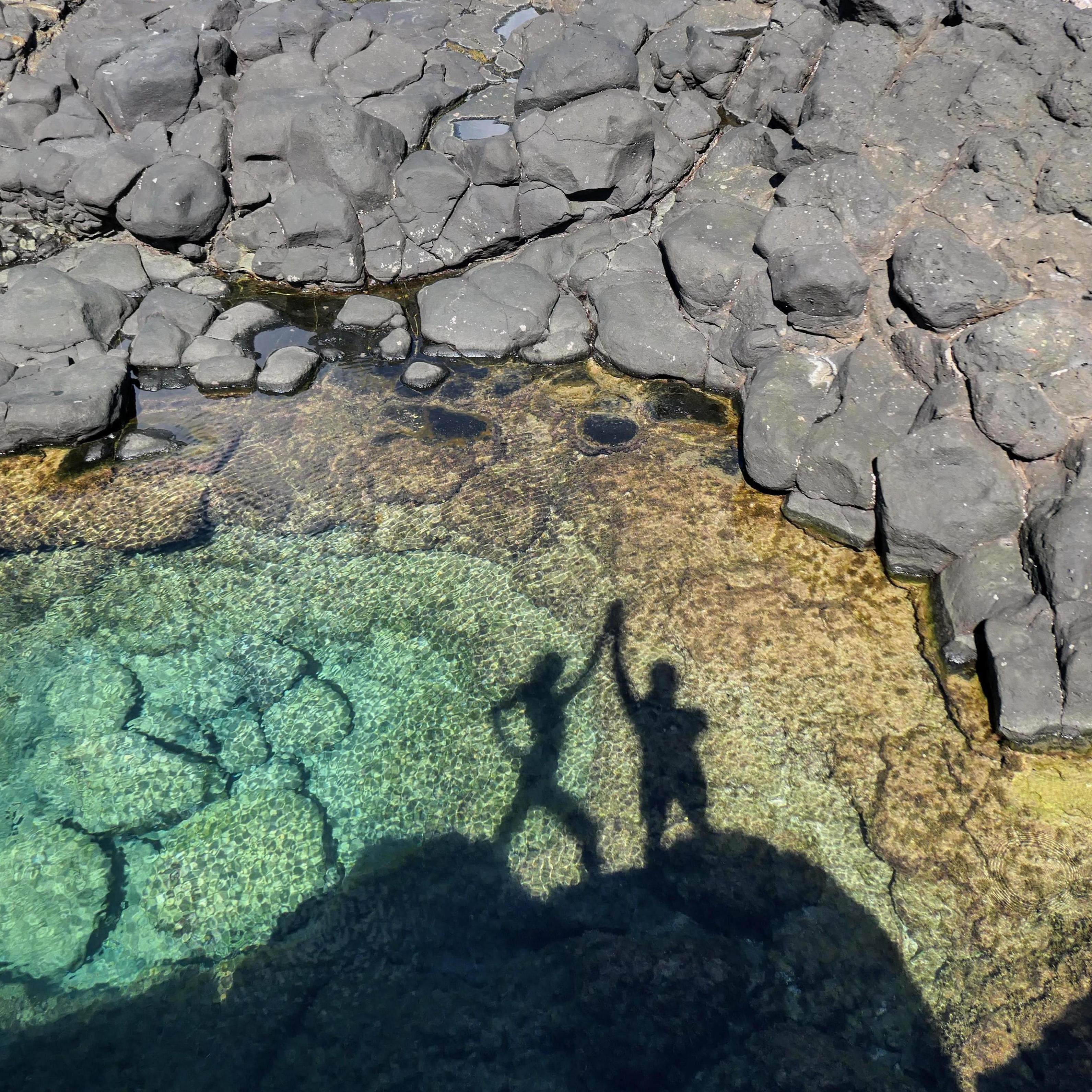 First trip to Hawaii together.