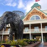 Virginia Zoo