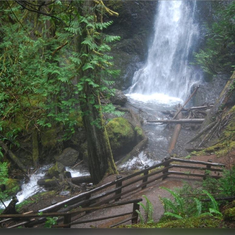 Marymere Falls- one of the trails made available to hike- 1.7 miles round trip- the trailhead is on the camp property!