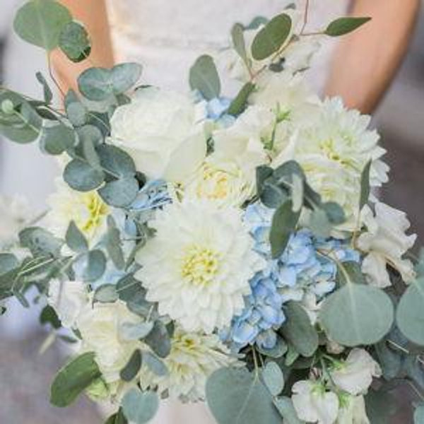 Our newlywed fund