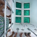 Transparensea Glass Bottom Boat Tours