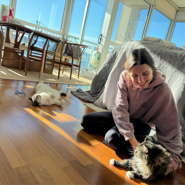 Cat Care