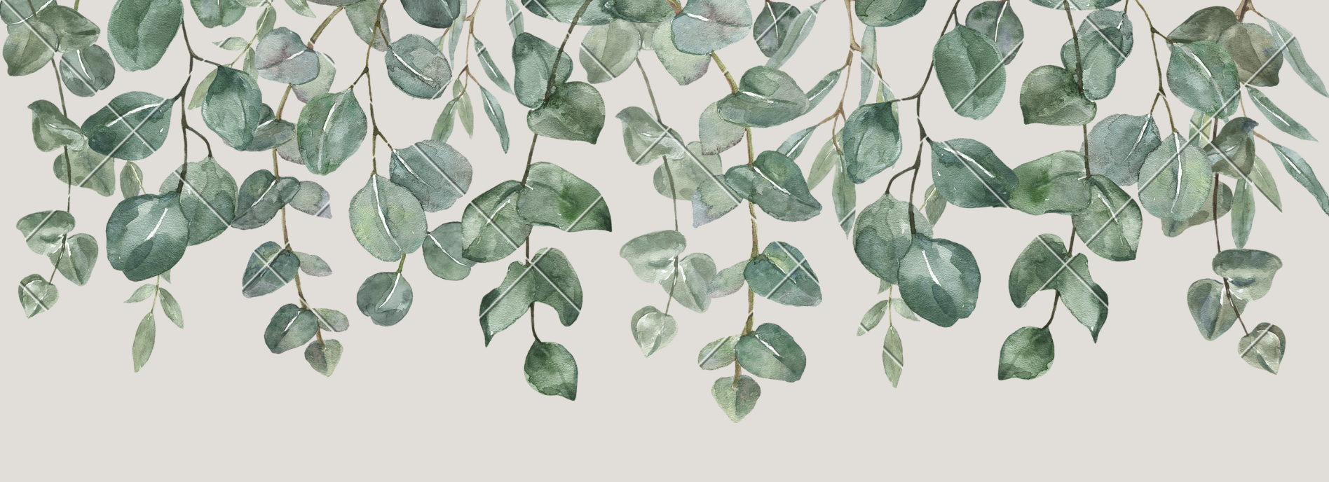 The Wedding Website of Amaris Goodwin and Joseph Tibbles