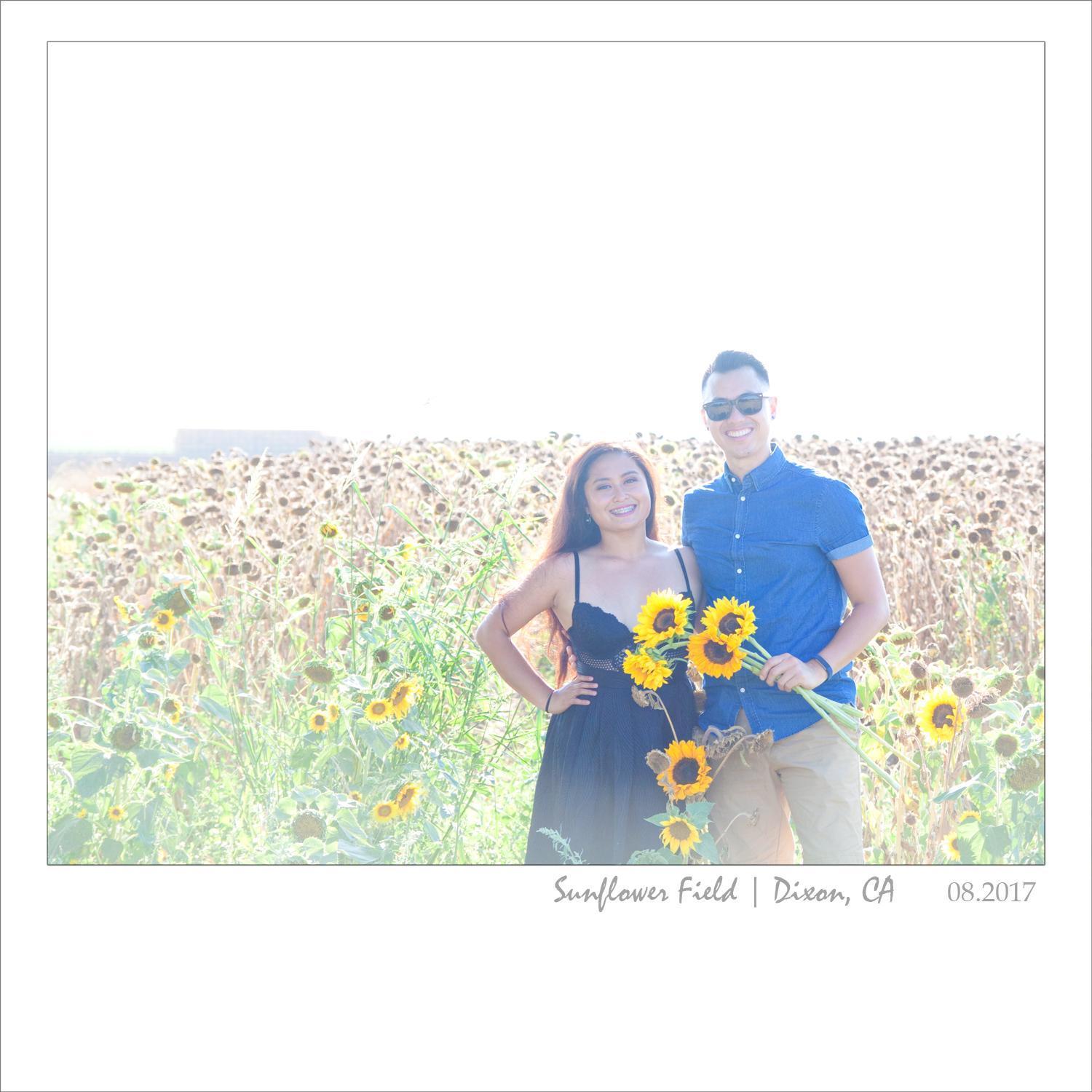 Sunflower Field.

Dixon, CA
