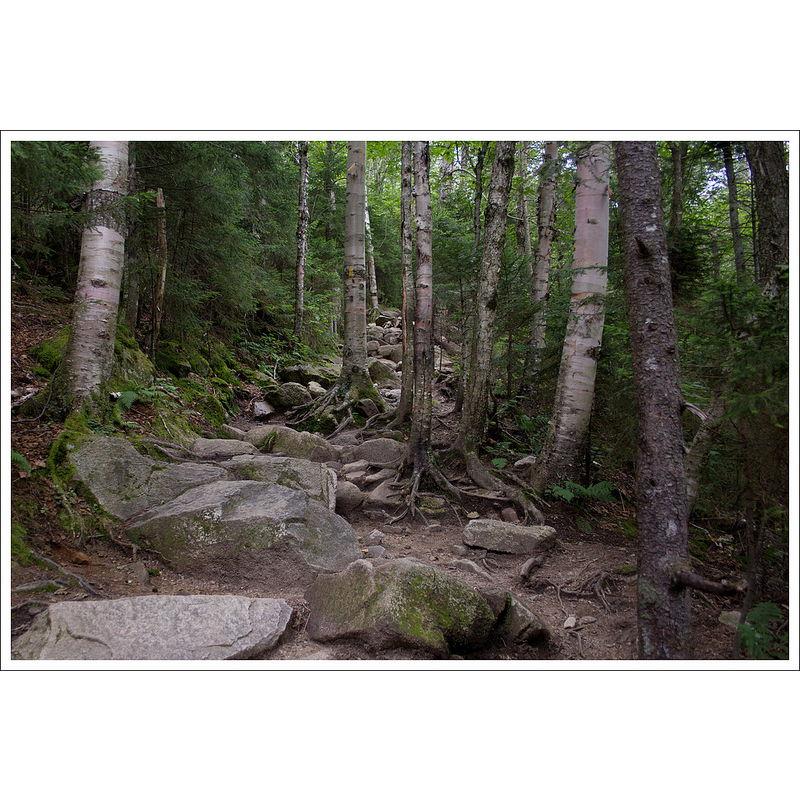 Lonesome Lake trail