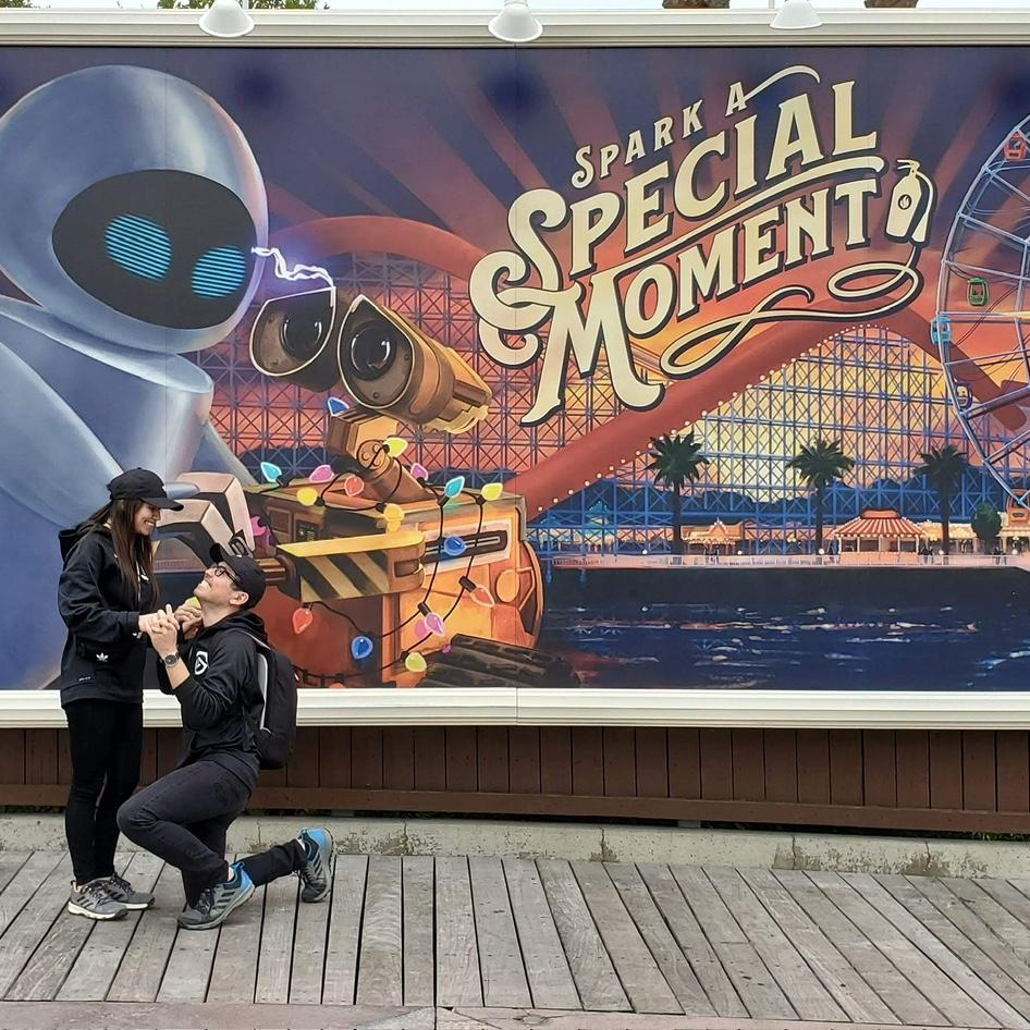 Disney California Adventure