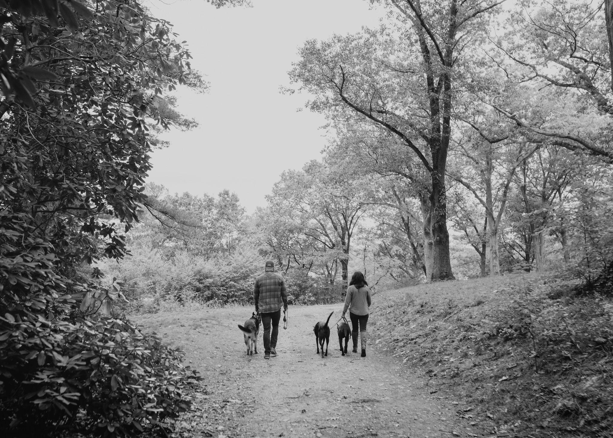 a043216a-d435-41b4-a423-6b87a1ce471f