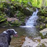 Poor Mountain Natural Preserve