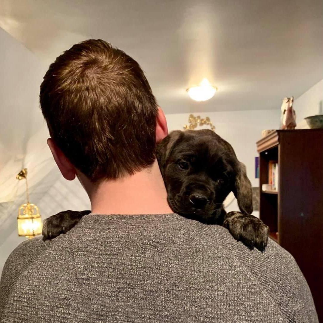 Davina at 8 weeks old