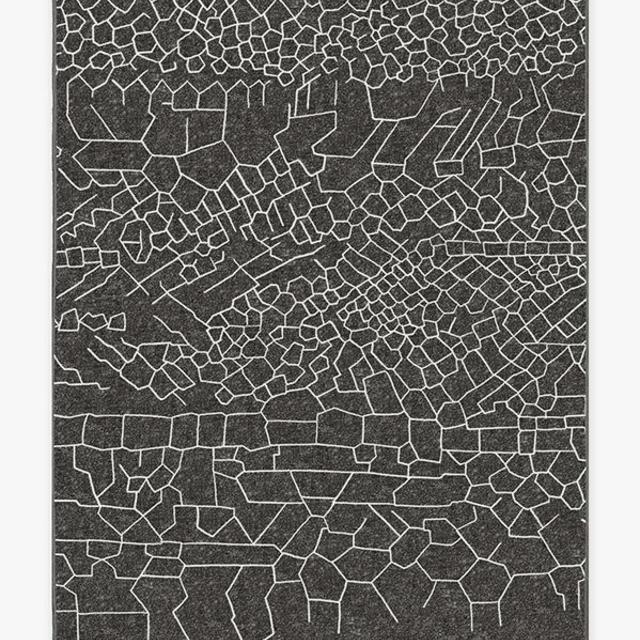 Ziri Black Rug