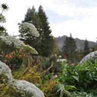 The Wedding Website of Lele Heartloom and Keala Young