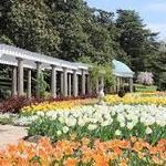 Maymont