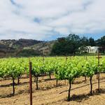 Bartholomew Estate Winery