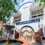 Key West Aquarium