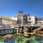Monterey Bay Aquarium