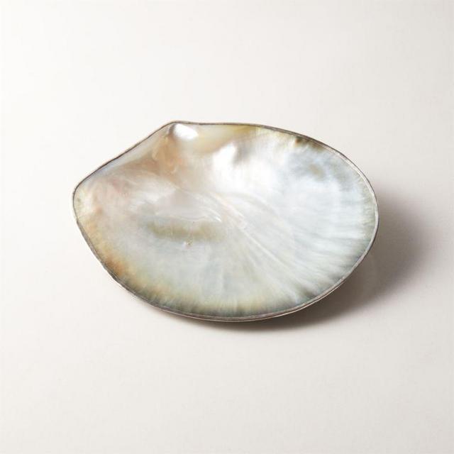 Shell Soap Dish